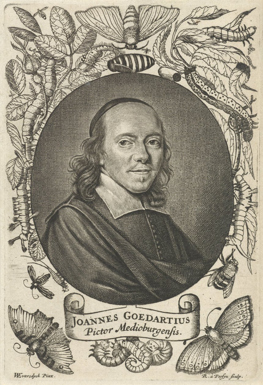 Johannes Goedaert (1617-1668) of Middelburg by Reinier van Persijn