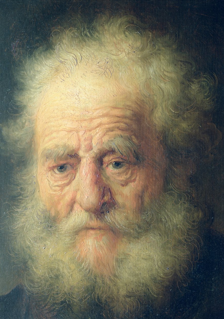 Bust of an Old Man with a Gold Chain (detail)
