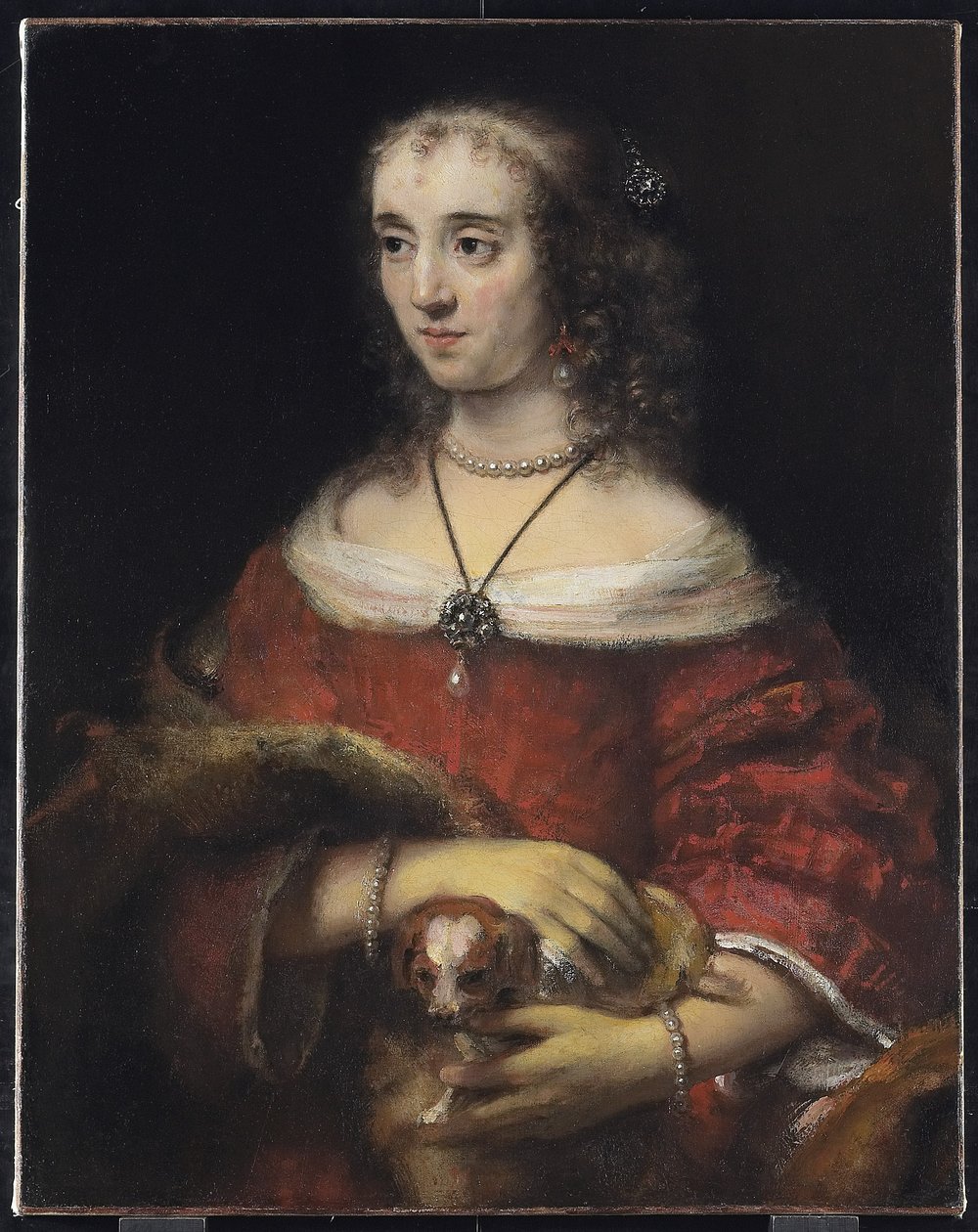 Portrait of a Lady with a Lap Dog by Rembrandt van Rijn