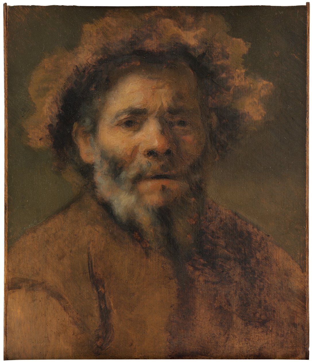 Study of an Old Man by Rembrandt Harmensz. van Rijn circle of Rembrandt Harmensz. van Rijn circle of