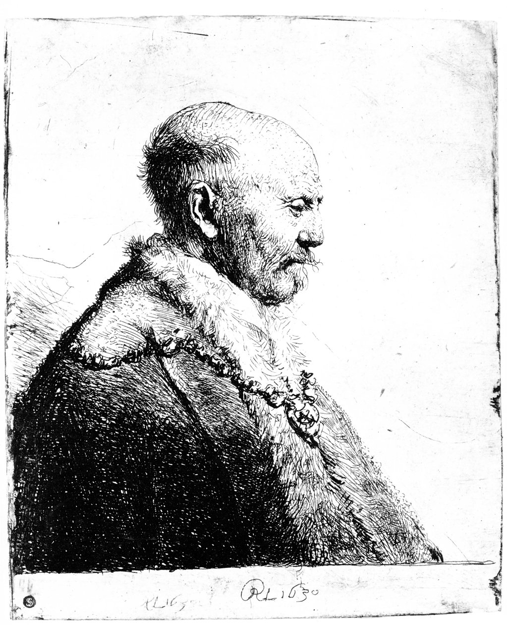 Portrait of a Bald-Headed Man by Rembrandt van Rijn