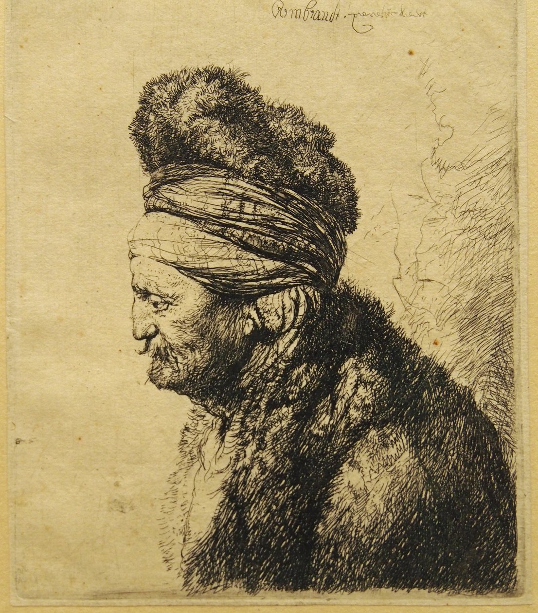 The Second Oriental Head by Rembrandt van Rijn