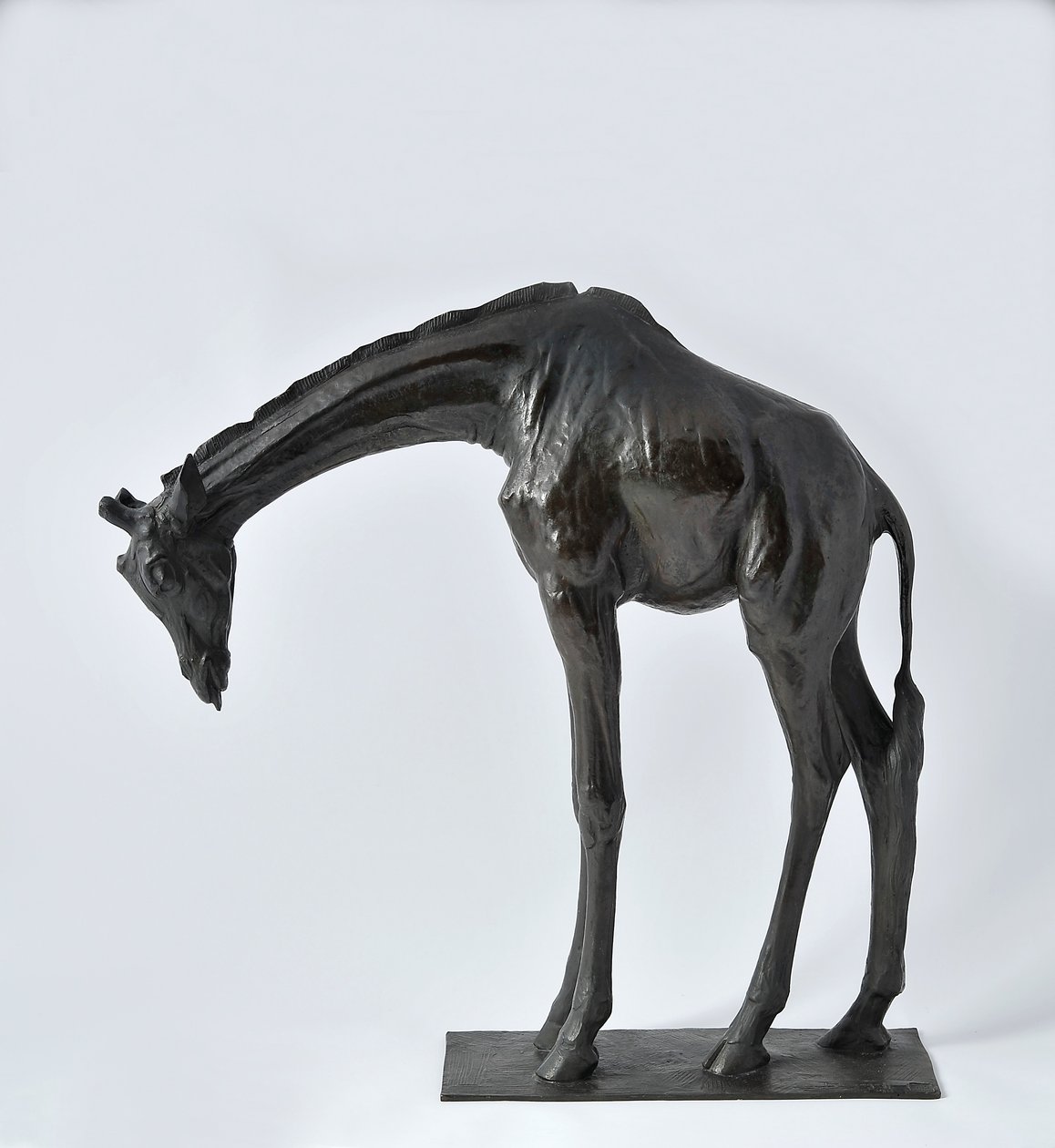 Large Giraffe with Lowered Head by Rembrandt Bugatti
