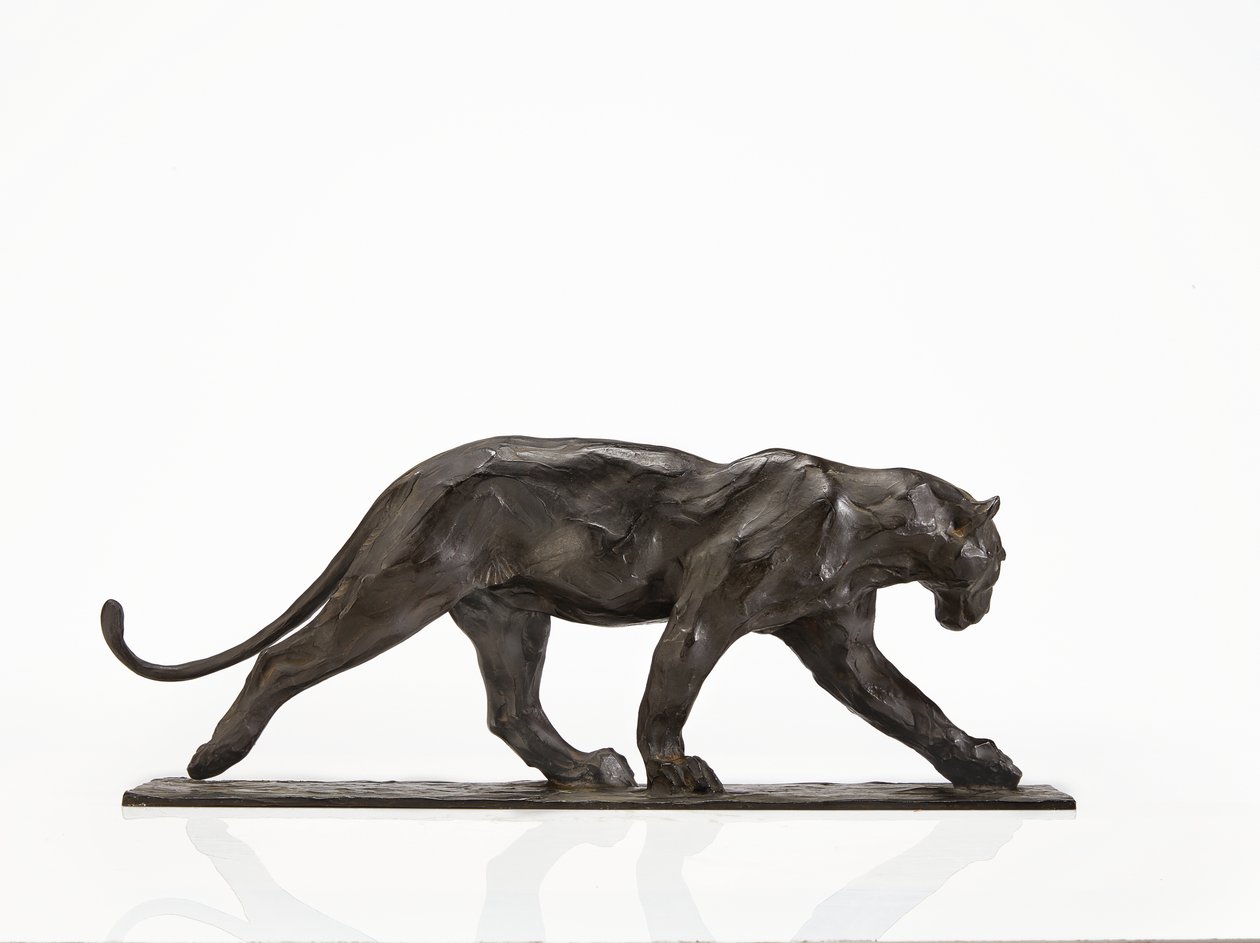 Finish line puma deals vs panther