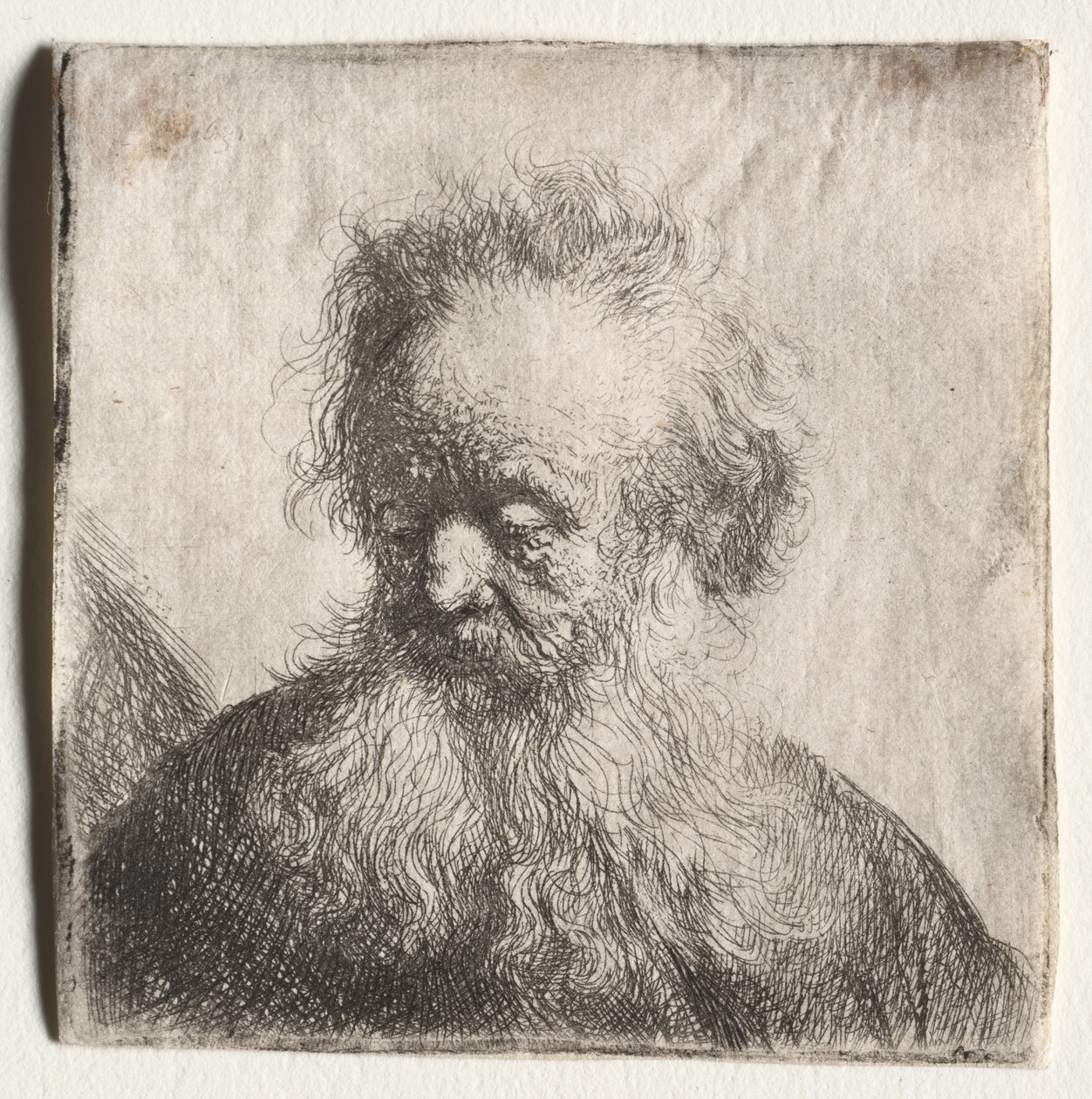 Old Man with a Flowing Beard: Bust by Rembrandt Harmensz. van Rijn