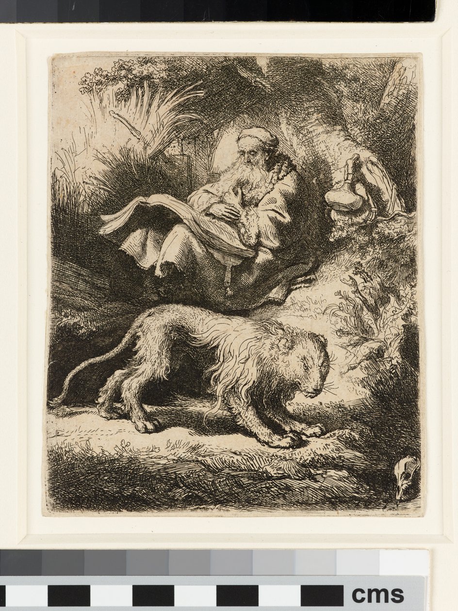St. Jerome Reading by Rembrandt van Rijn