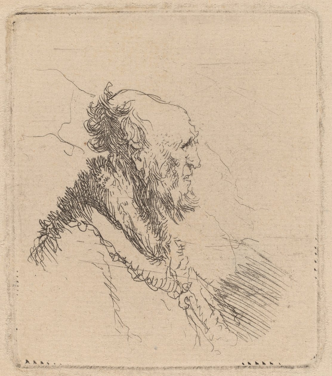 Bald Old Man with a Short Beard in Profile by Rembrandt van Rijn
