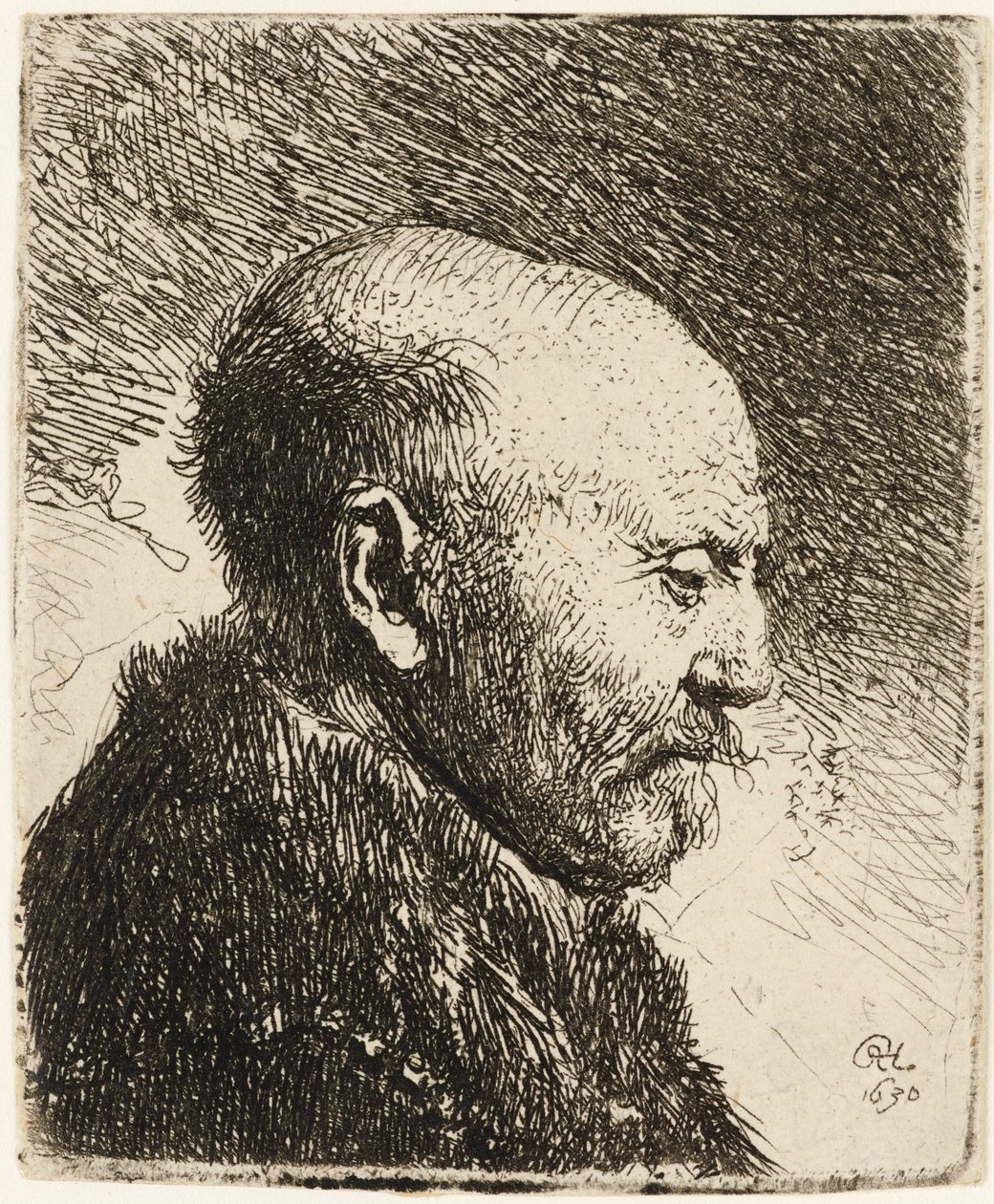 Bald Headed Man in Profile Right: Rembrandt