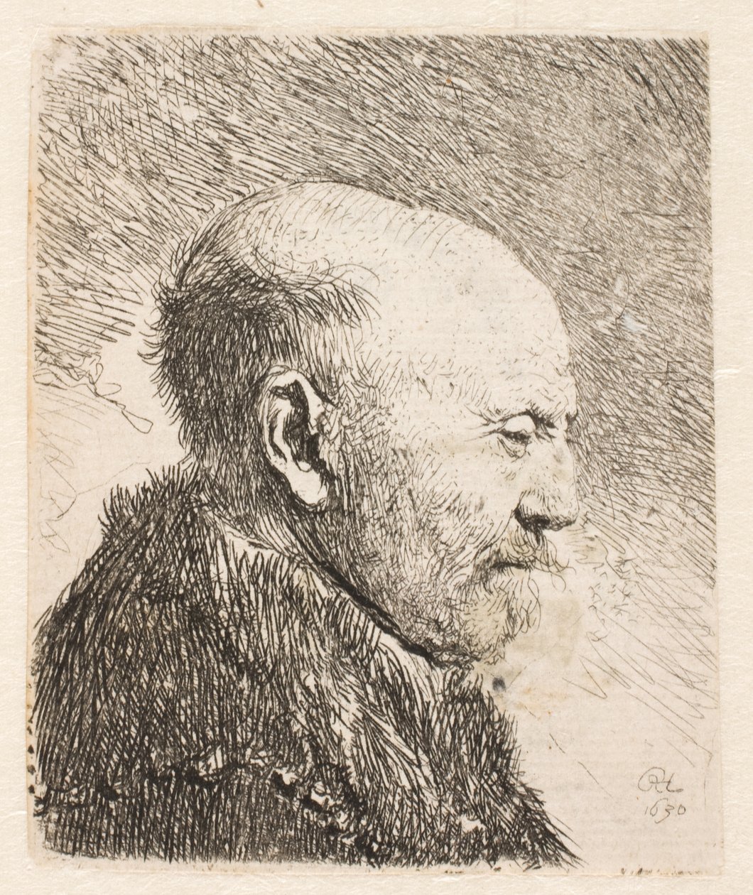 Bald Man in Profile by Rembrandt van Rijn