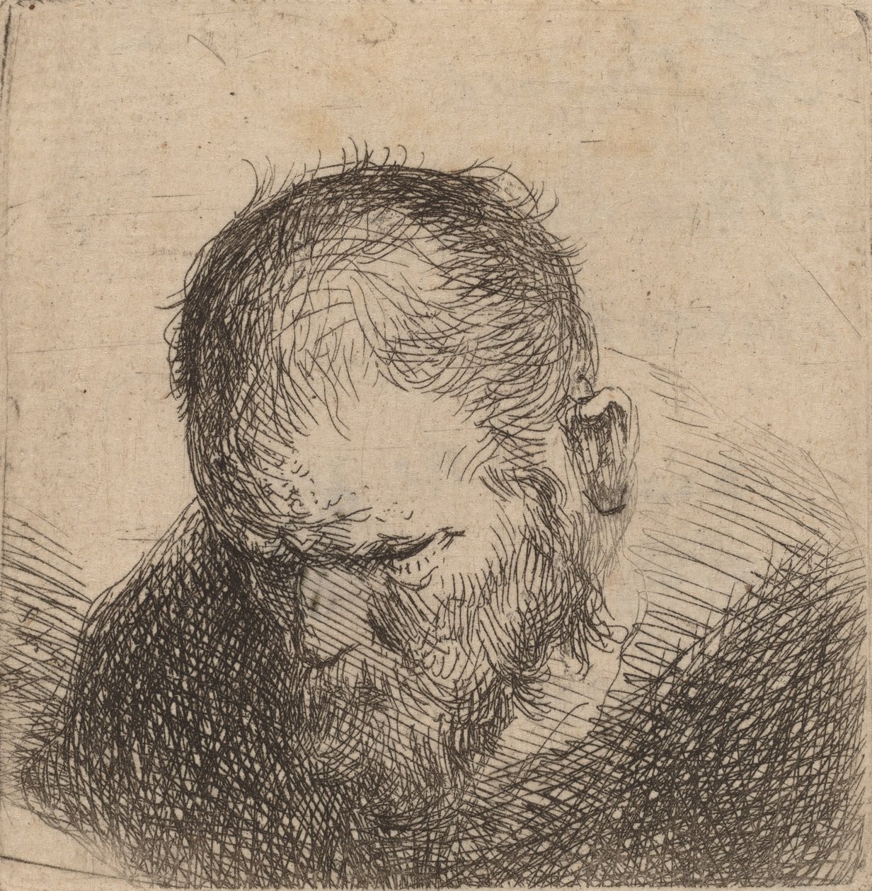 Bearded Man Looking Down, possibly 1631 by Rembrandt van Rijn