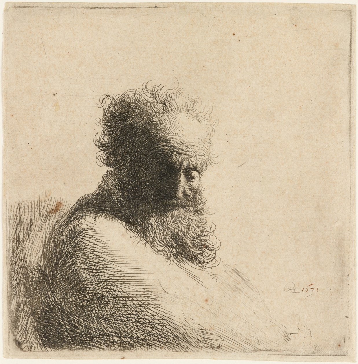 Bust of an Old Bearded Man, Looking Down by Rembrandt van Rijn