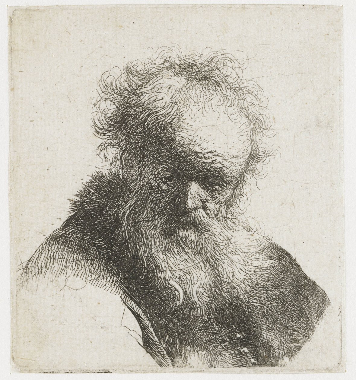 Bust of an Old Man with Flowing Beard and White Sleeve by Rembrandt van Rijn
