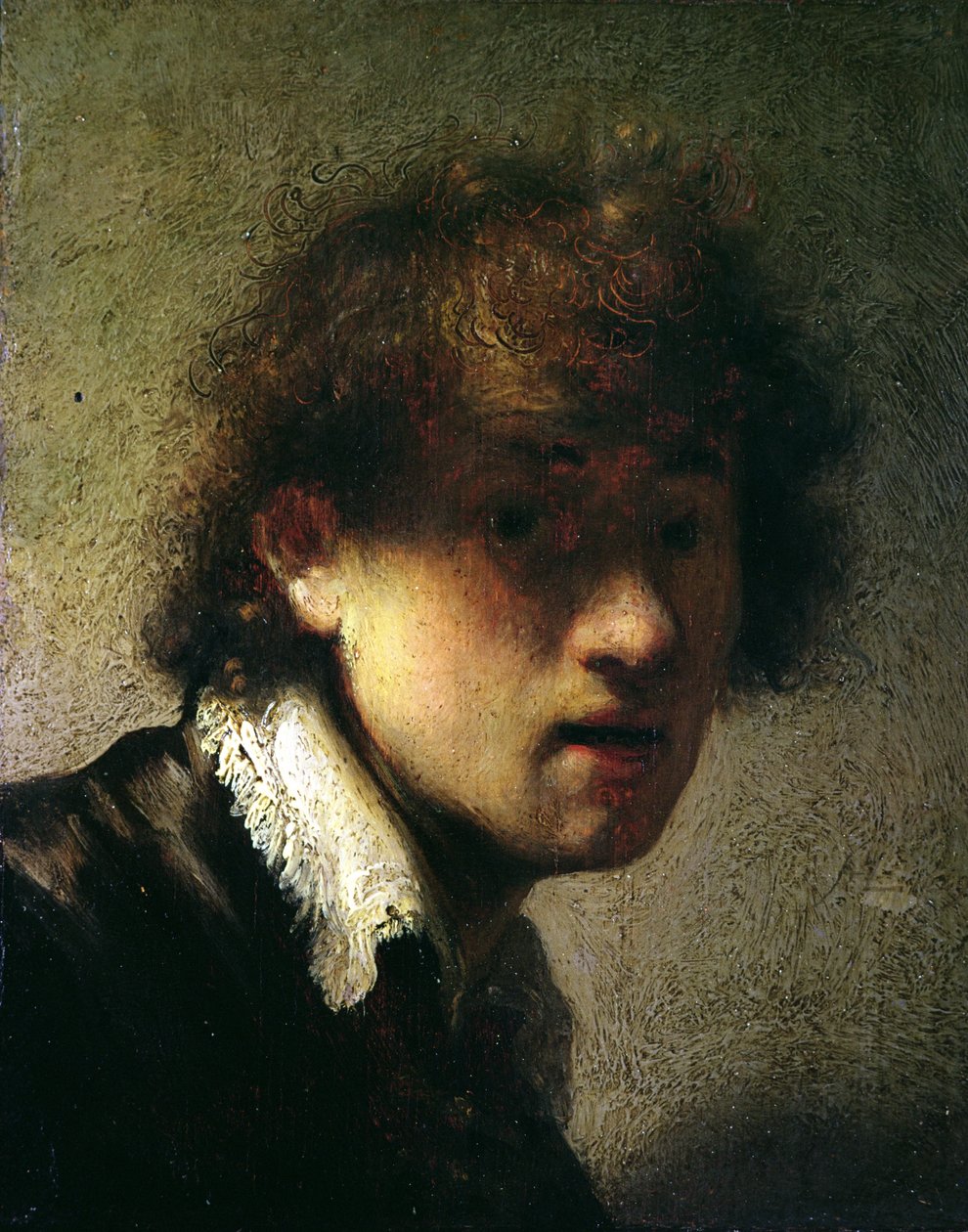 Head of a Young Man or Self Portrait, 1629 by Rembrandt van Rijn