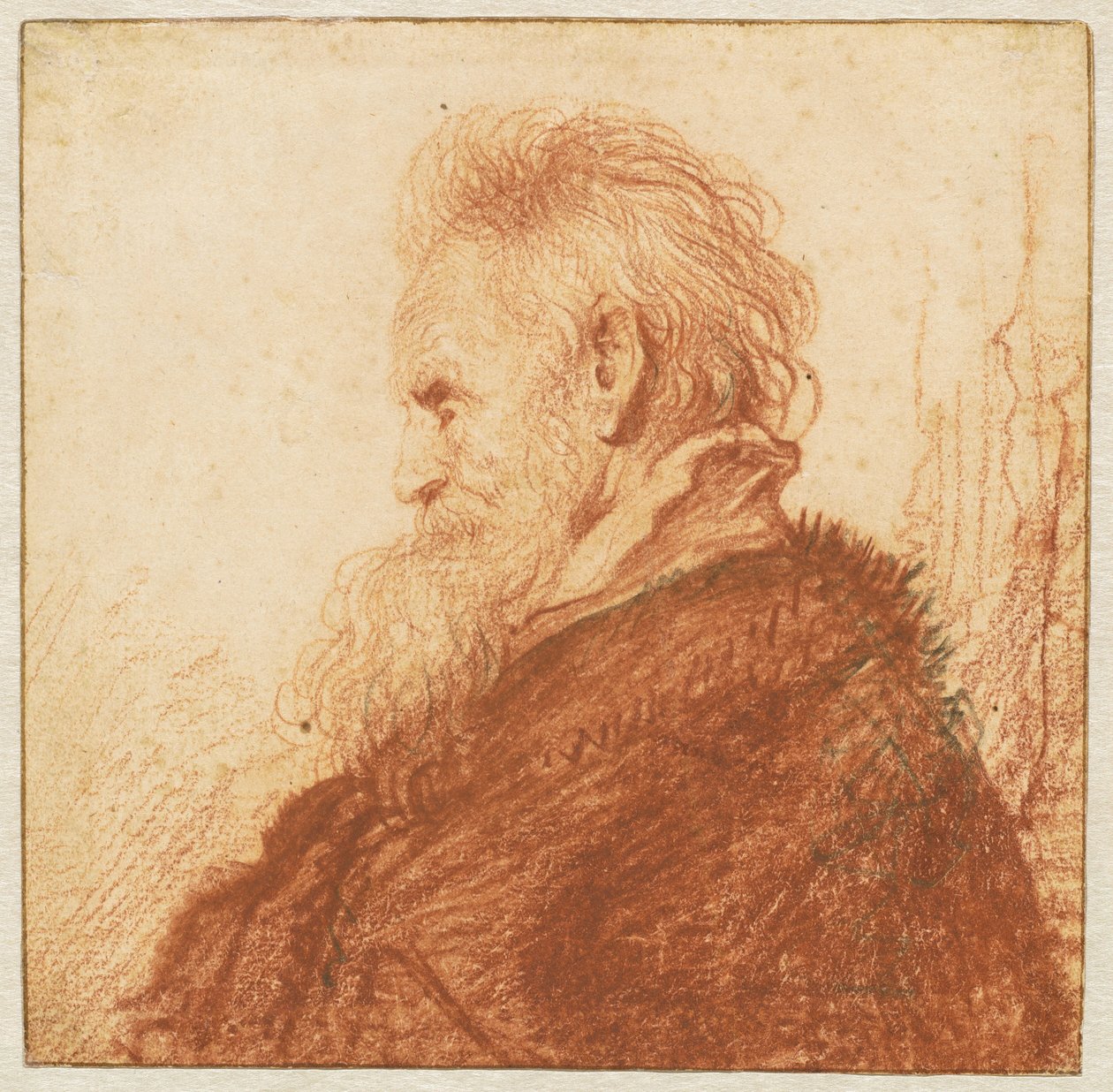 Head of an Old Man by Rembrandt van Rijn