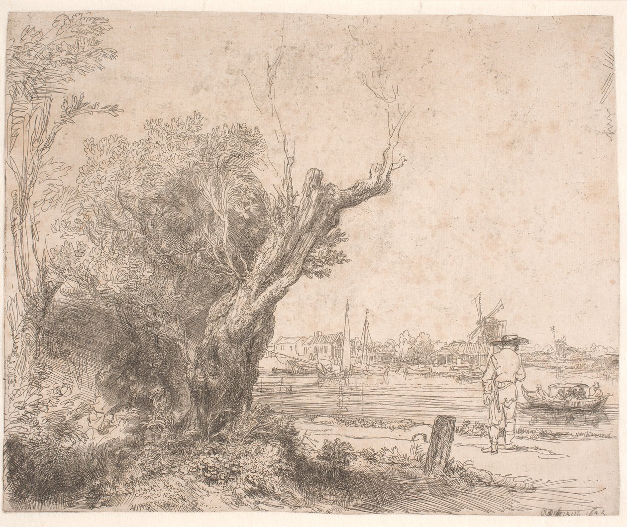 Landscape. 