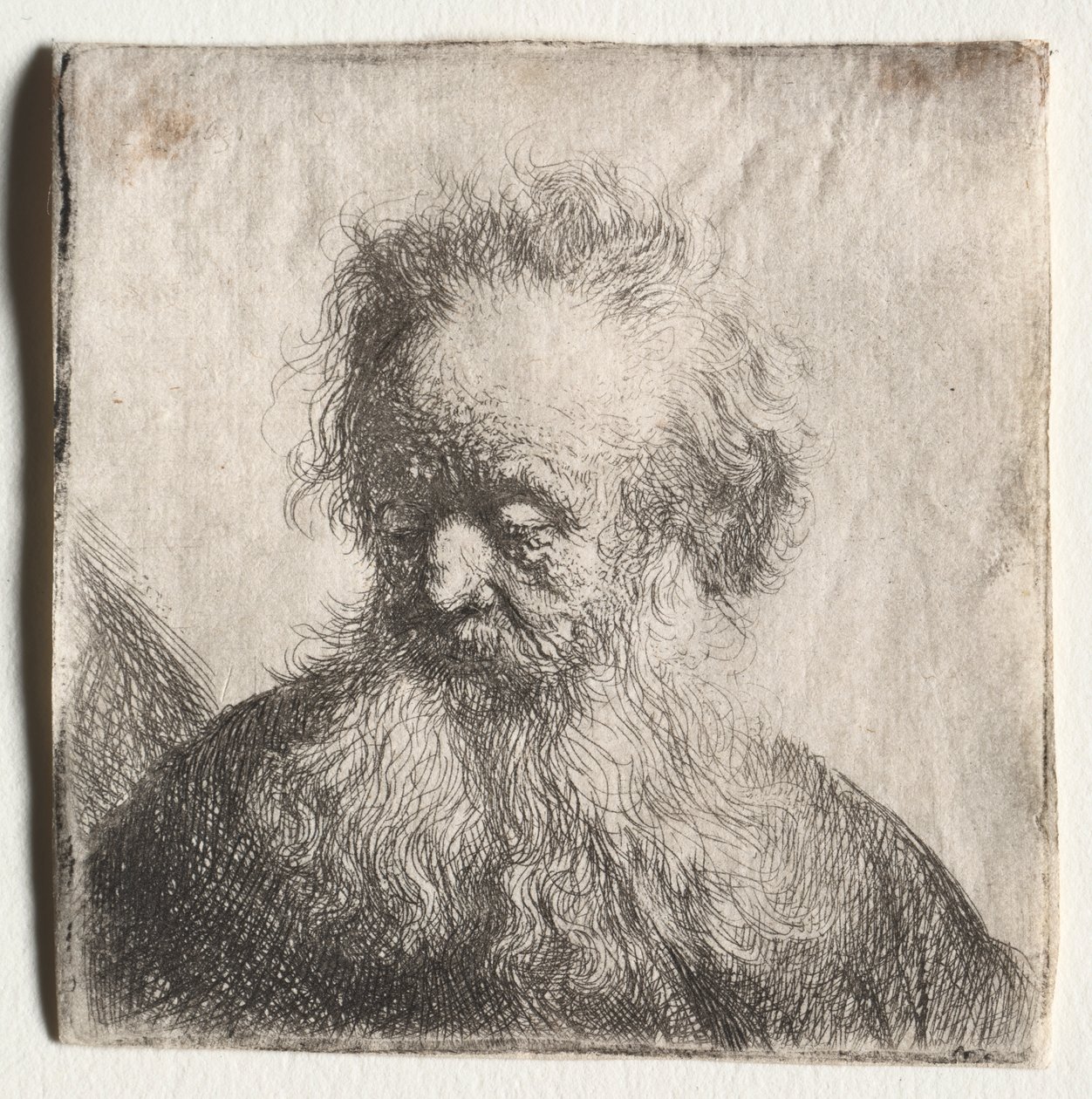 Old Man with a Flowing Beard: Bust by Rembrandt van Rijn