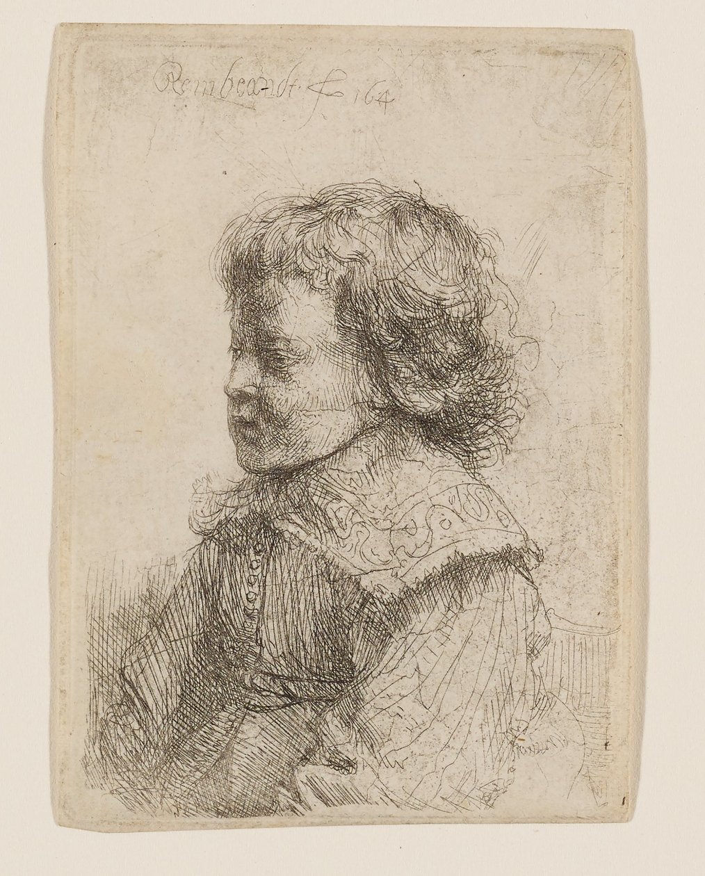Portrait of a Boy in Profile by Rembrandt van Rijn