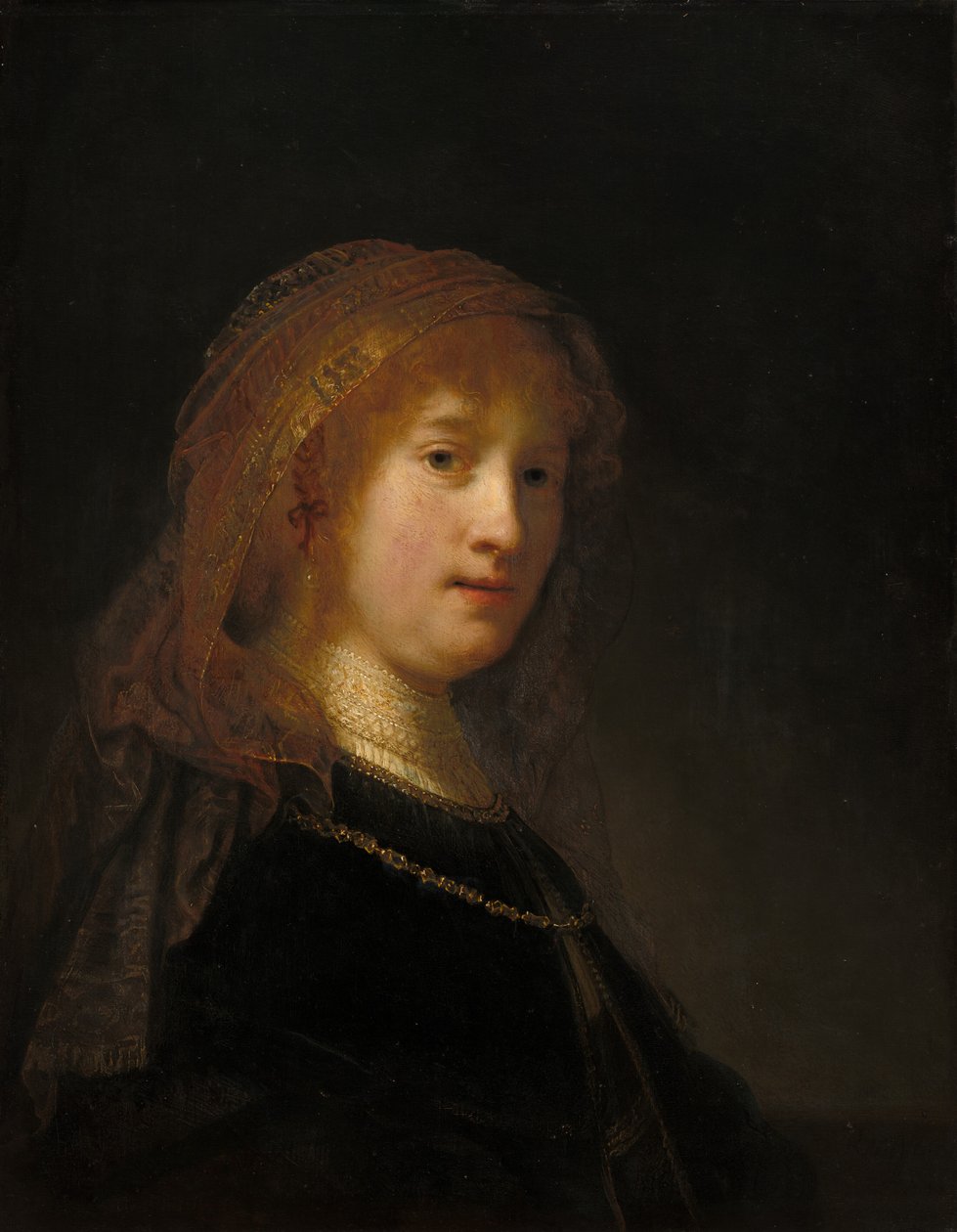 Saskia van Uylenburgh, the Wife of the Artist by Rembrandt van Rijn