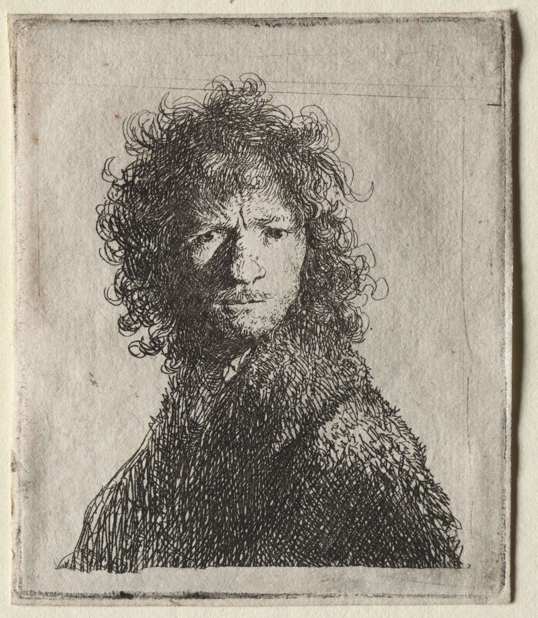 Self-Portrait Frowning: Bust, 1630 by Rembrandt van Rijn