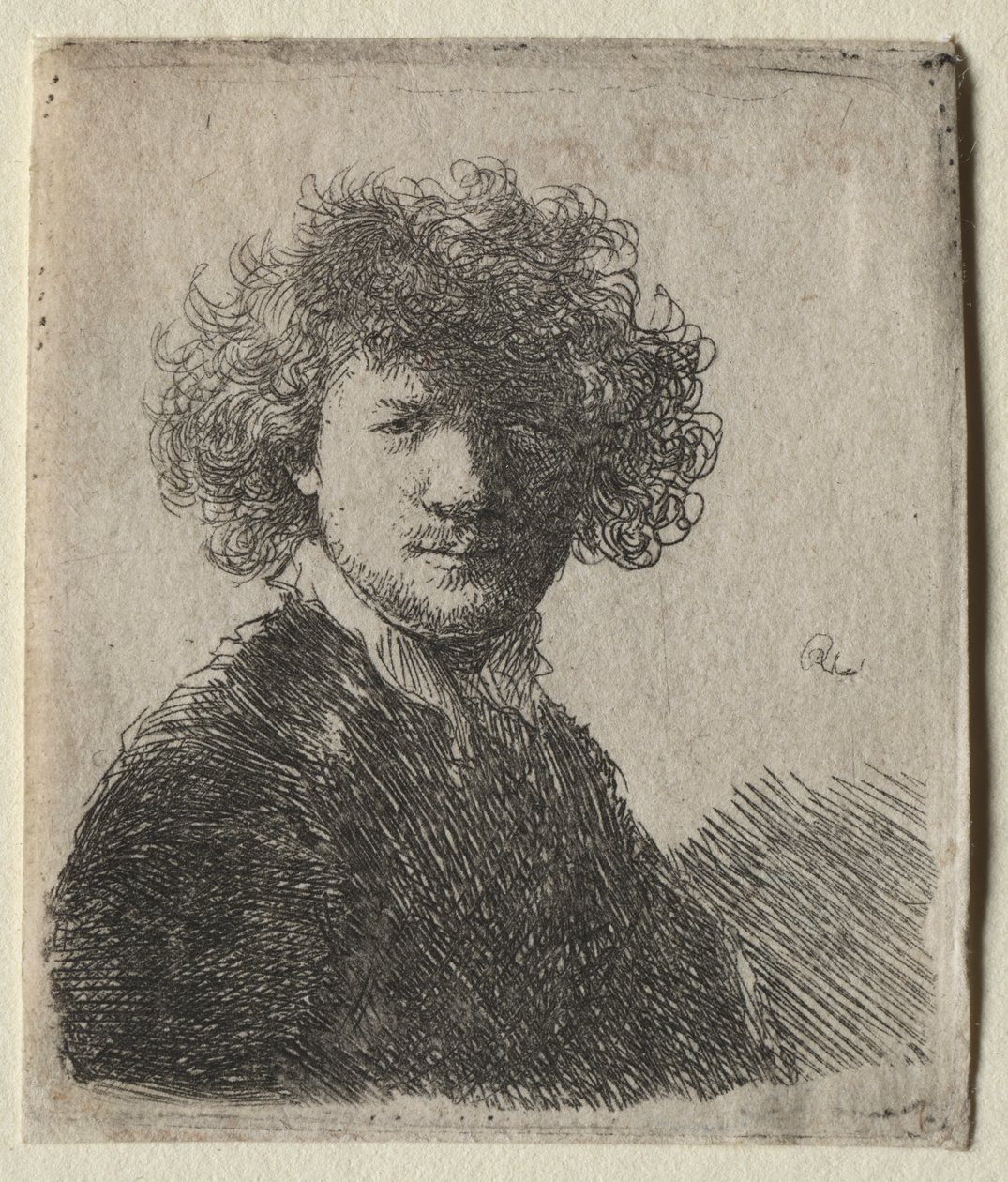 Self-Portrait with Curly Hair and White Collar: Bust by Rembrandt van Rijn