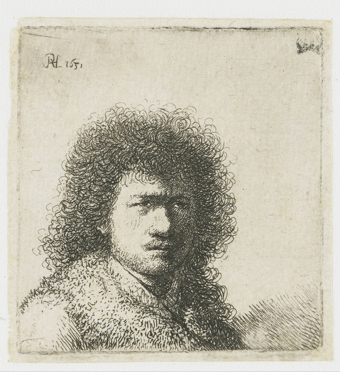Self-Portrait with Bushy Hair: Bust by Rembrandt van Rijn