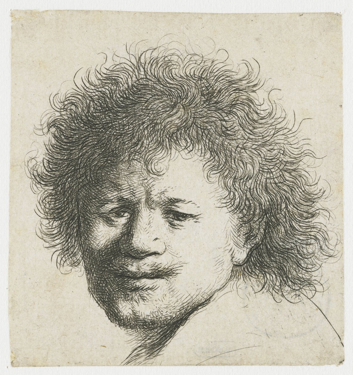 Self-Portrait with Long Bushy Hair: Head Only by Rembrandt van Rijn