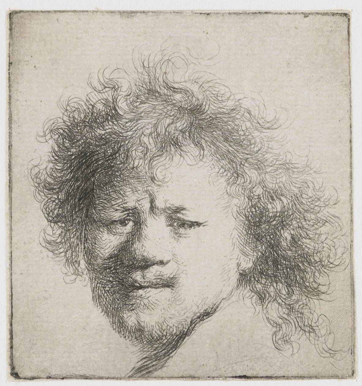 Self-portrait with Long Bushy Hair: Head Only by Rembrandt van Rijn