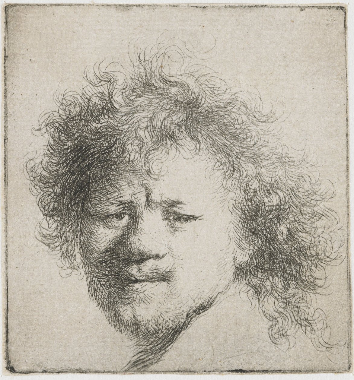 Self-Portrait with Long Bushy Hair: Head Only by Rembrandt van Rijn