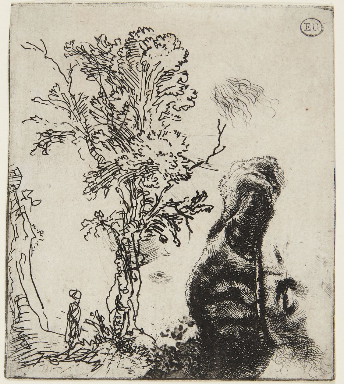 Sheet with Two Studies: A Tree and Self-Portrait by Rembrandt van Rijn