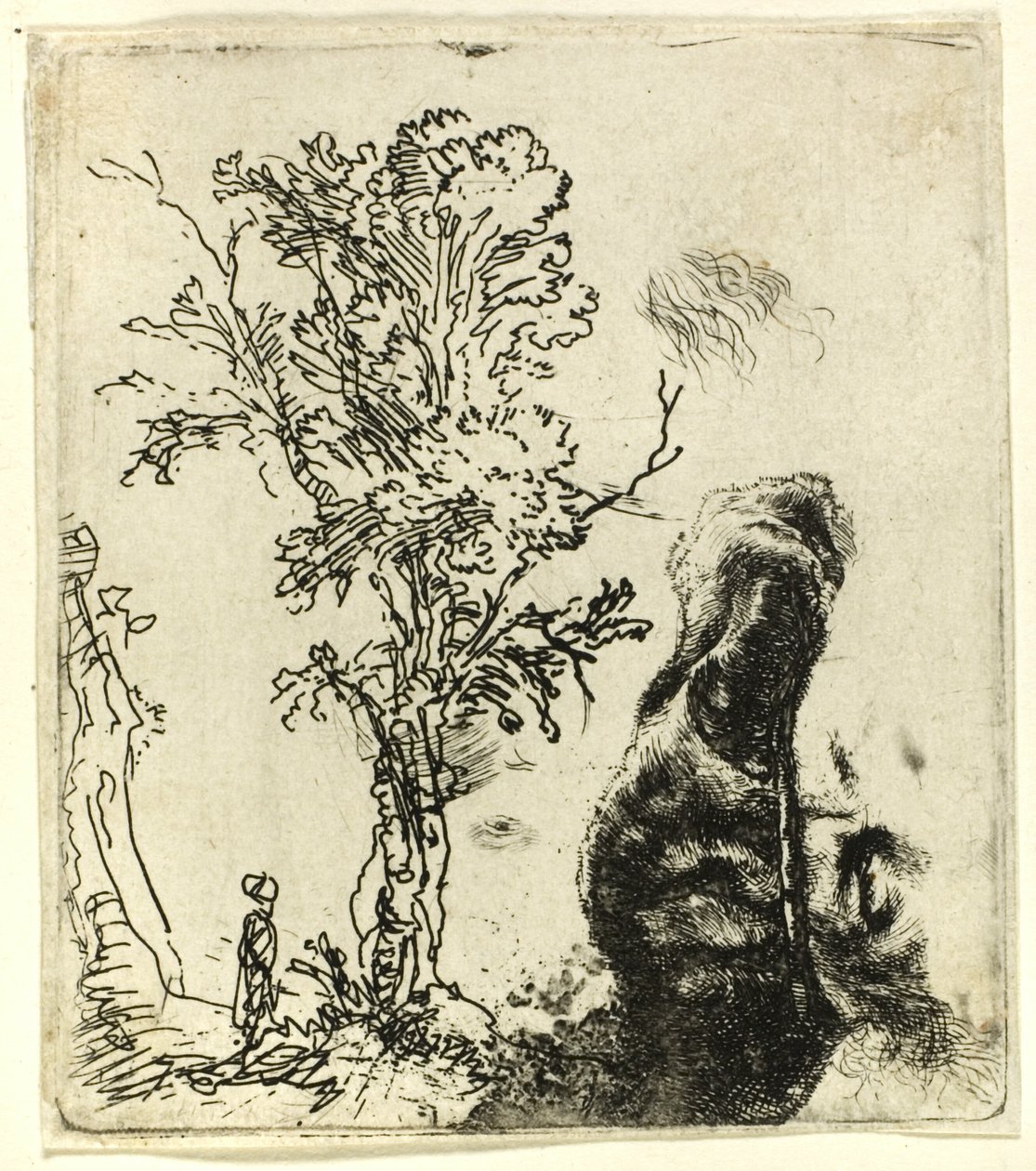 Sheet with Two Studies: A Tree, and the Upper Part of the Head of the Artist Wearing a Velvet Cap by Rembrandt van Rijn