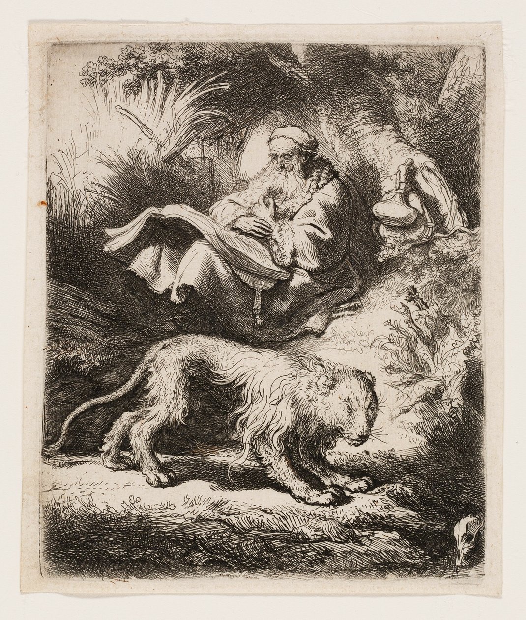 St. Jerome Reading by Rembrandt van Rijn