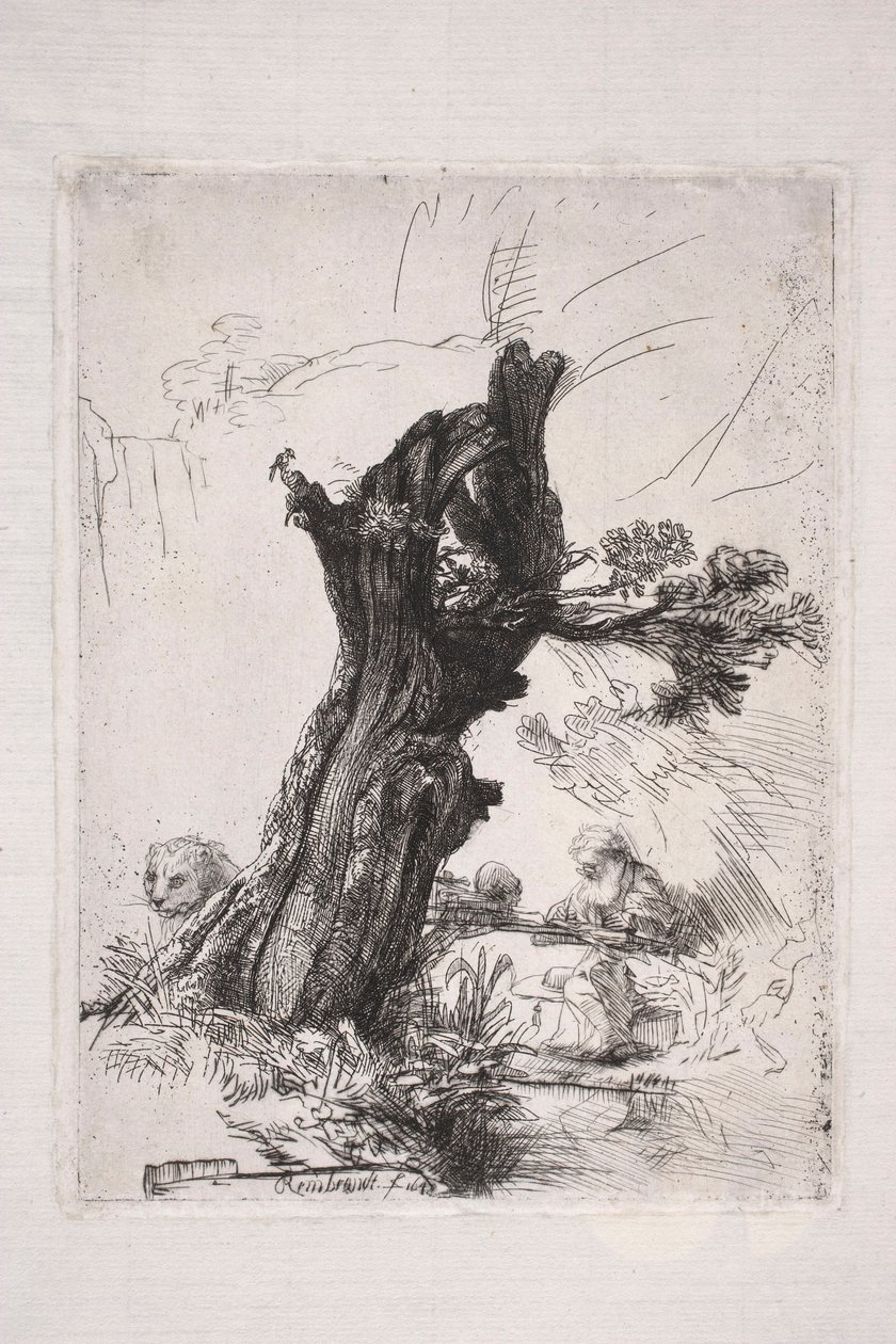 Saint Jerome Writing by a Willow Trunk by Rembrandt van Rijn