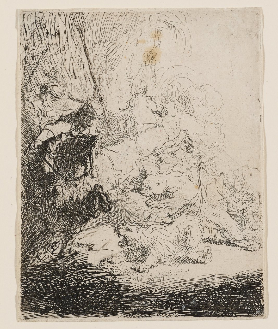 The Small Lion Hunt (with Two Lions) by Rembrandt van Rijn