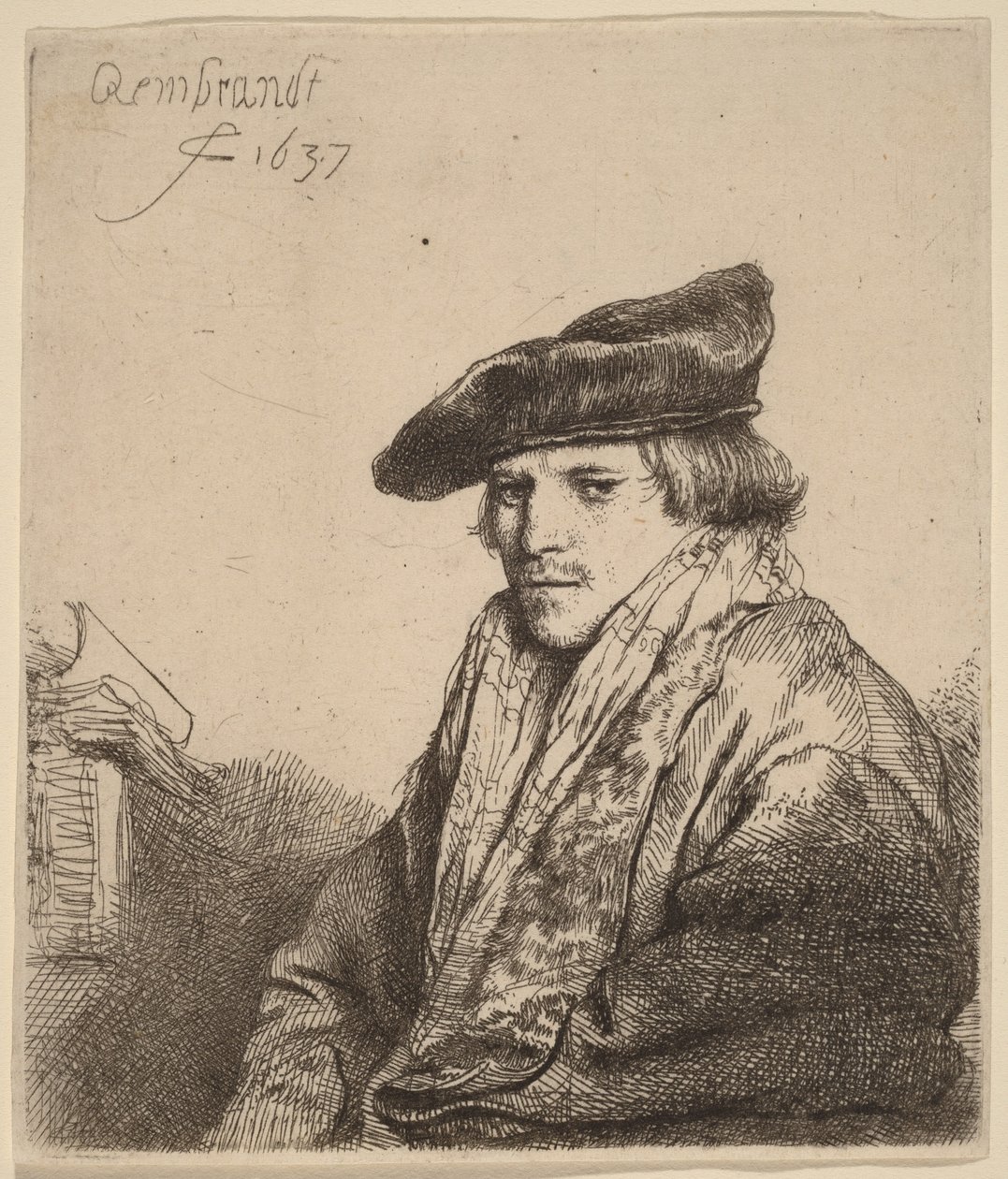 Young Man in a Velvet Cap (Petrus Sylvius?) by Rembrandt van Rijn