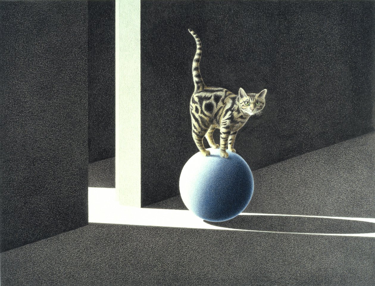 Blue Ball by Rene Boin