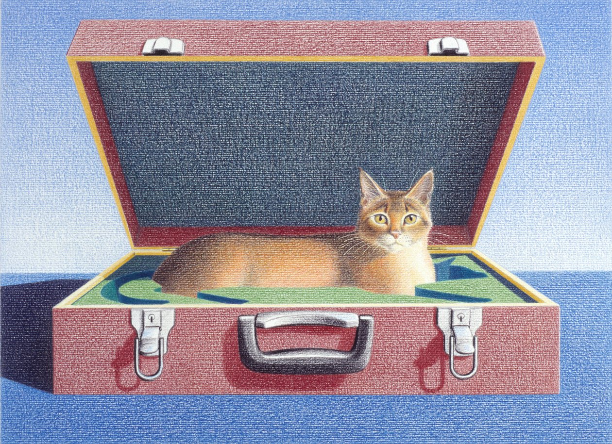 Travelcase 2 by Rene Boin