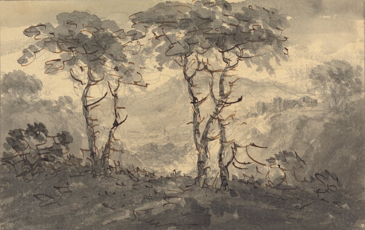 Fir Trees in a Mountain Landscape by Rev. William Gilpin
