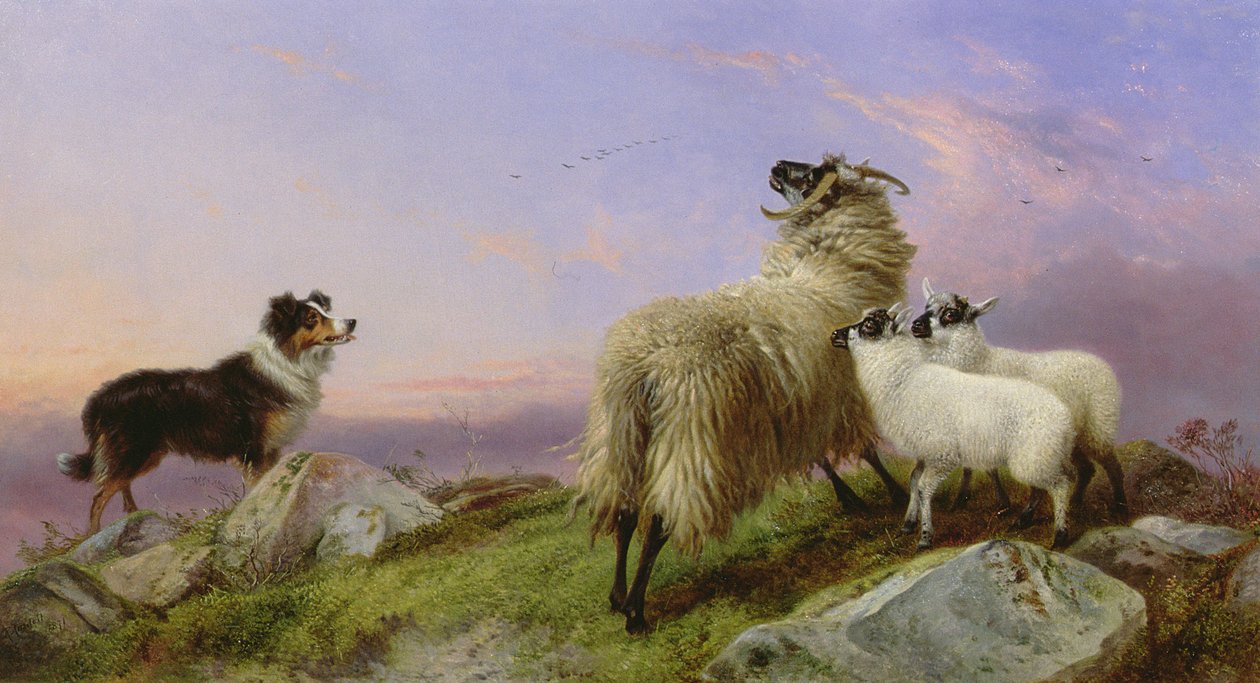 Collie, Ewe and Lambs by Richard Ansdell