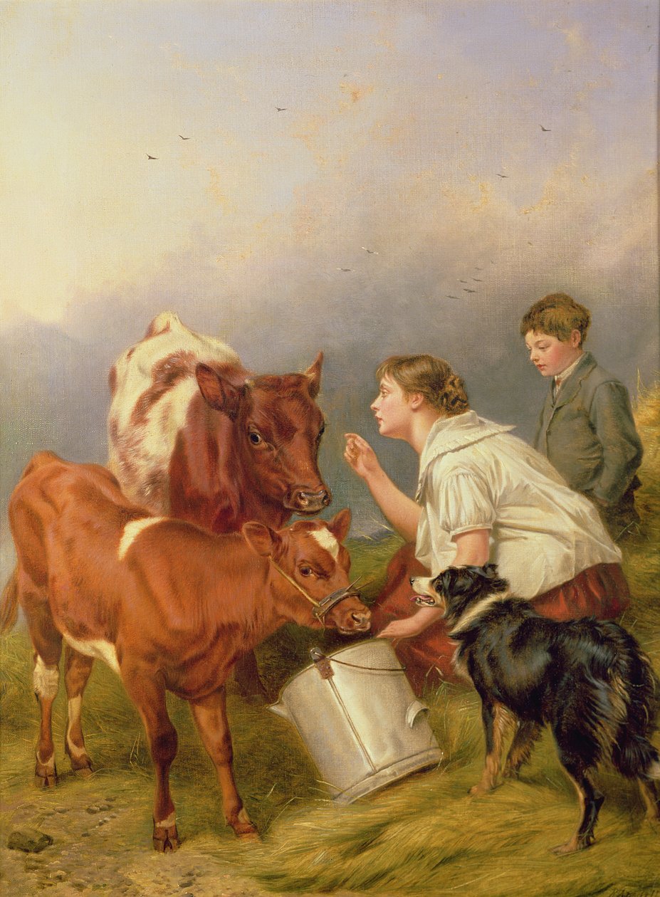 The Favoured Calf by Richard Ansdell