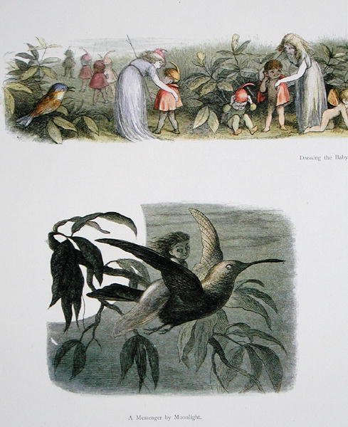 Dressing the Baby Elves, and A Messenger by Moonlight, illustrations from In Fairyland: A Series of Pictures from the Elf-World by William Allingham and Andrew Lang by Richard Doyle