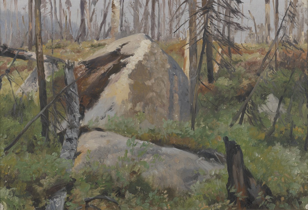 Dead Forest in Canada by Richard Friese