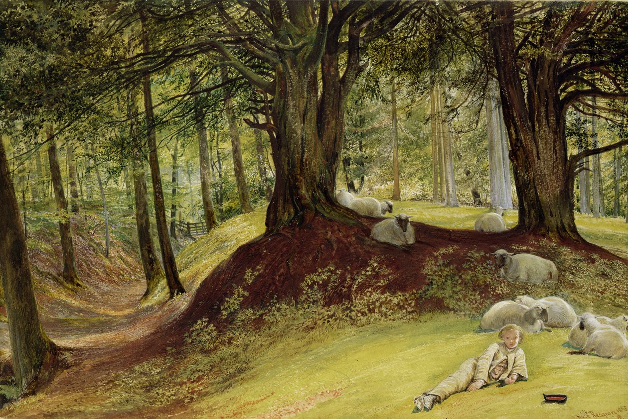 Parkhurst Woods, Abinger, Surrey by Richard Redgrave
