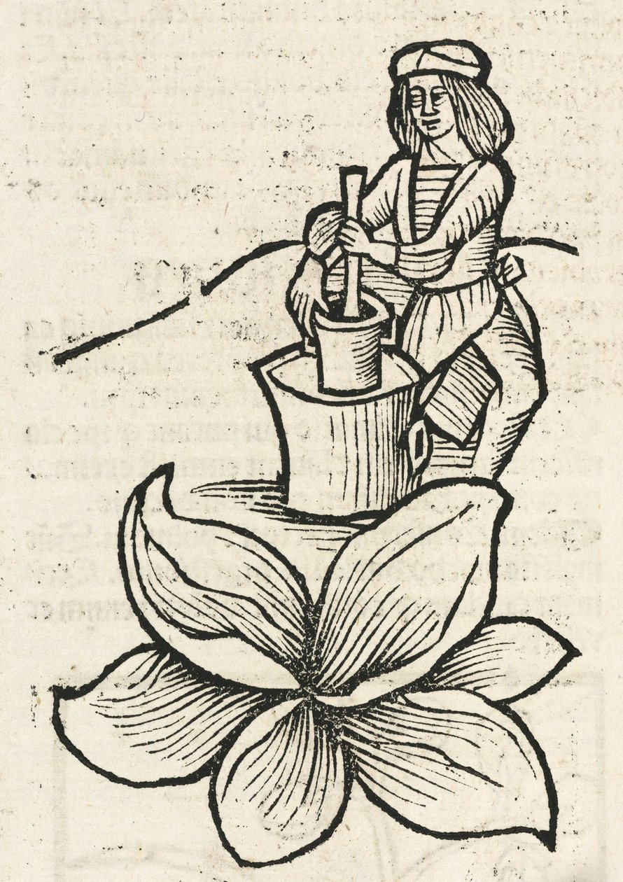 Medieval Man Using a Pestle and Mortar to Crush Plants by John Pardon