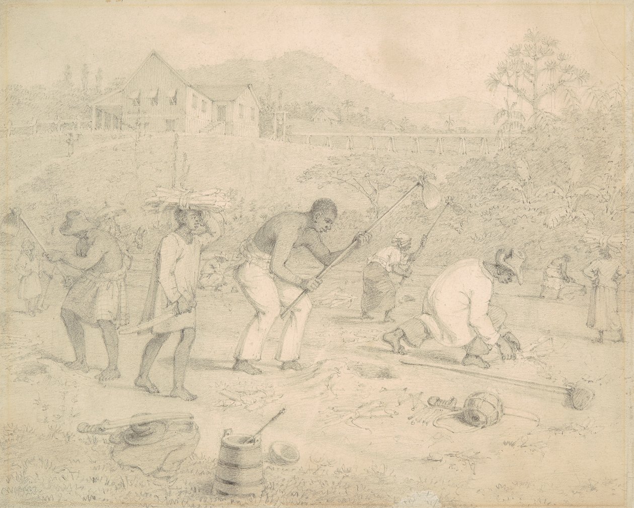 Planting the Sugar Cane, Trinidad by Richard Bridgens