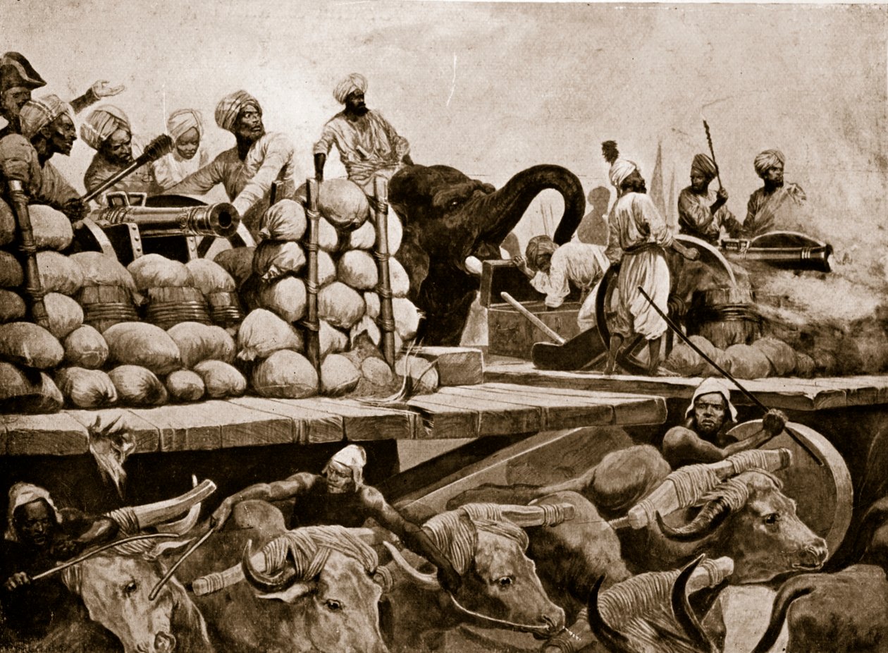 The Nawab