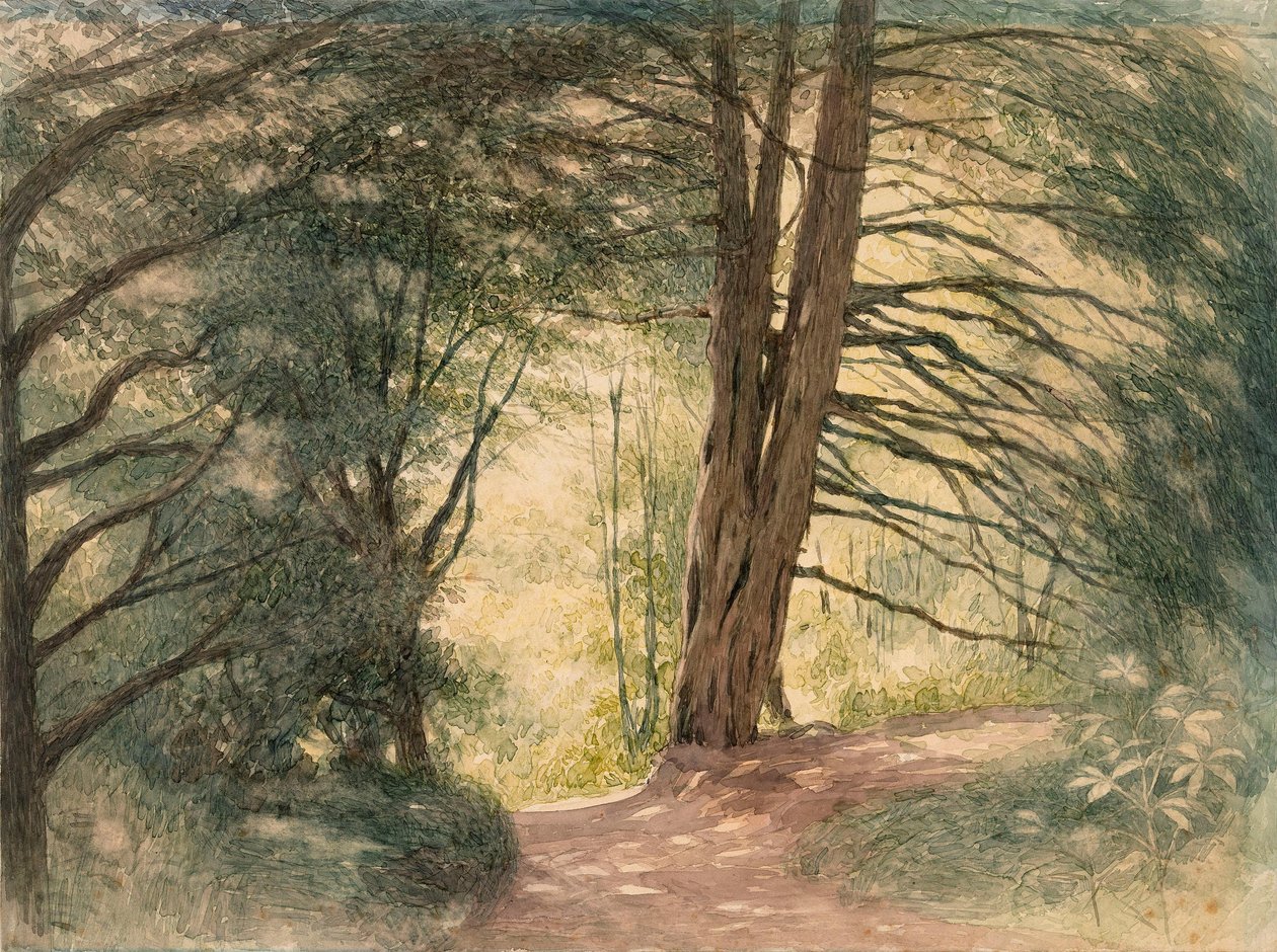 Boxhill, Surrey by Richard Doyle