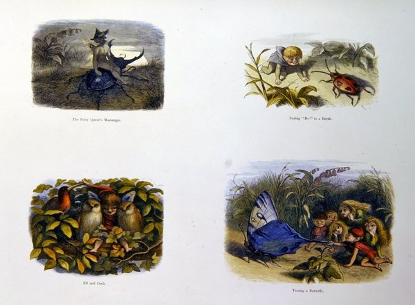In Fairy Land by Richard Doyle