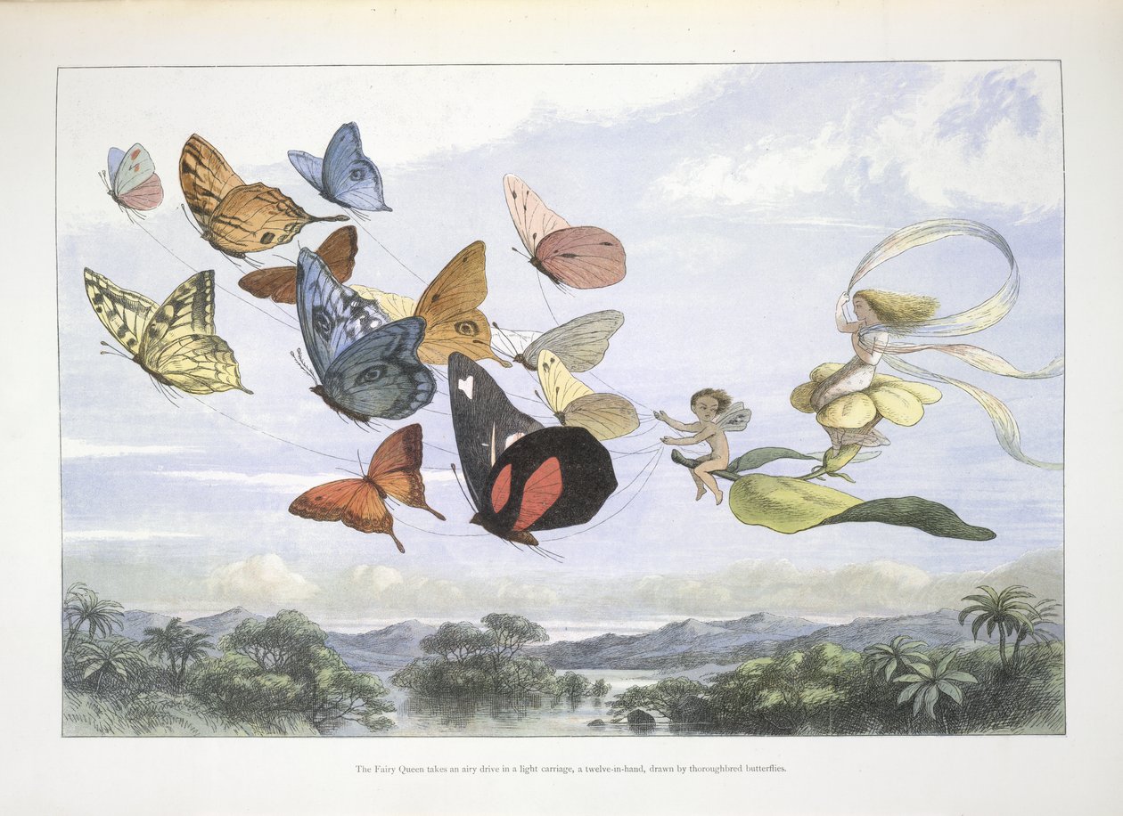 The Fairy Queen by Richard Doyle