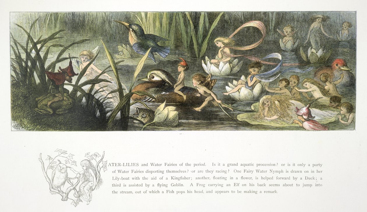 Water lilies and water fairies by Richard Doyle