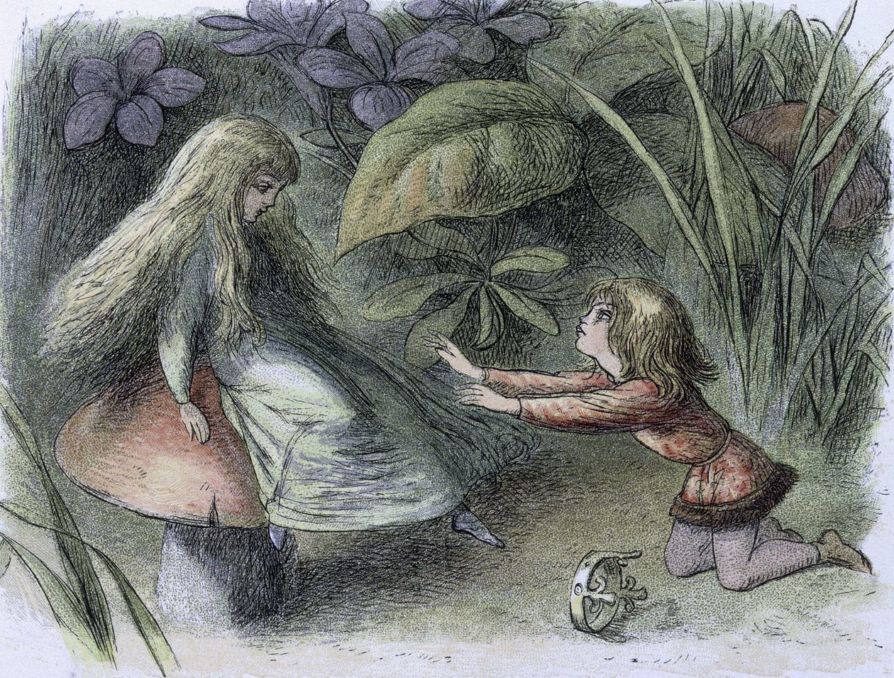 Water lilies and water fairies of the period by Richard Doyle